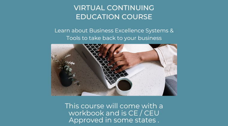 Business Excellence Systems & Tools LIVE