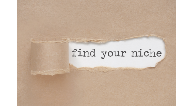 Finding Your Perfect Client and Your Niche and Why It's Important
