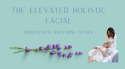 The Elevated Holistic Facial Class