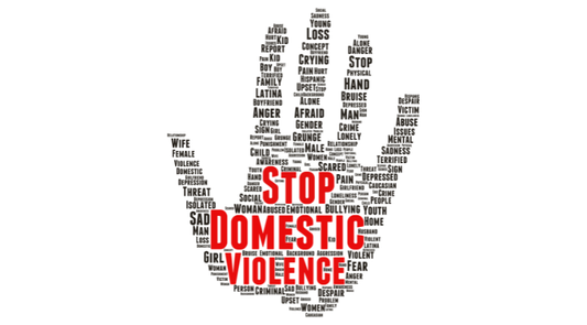 domestic violence class 