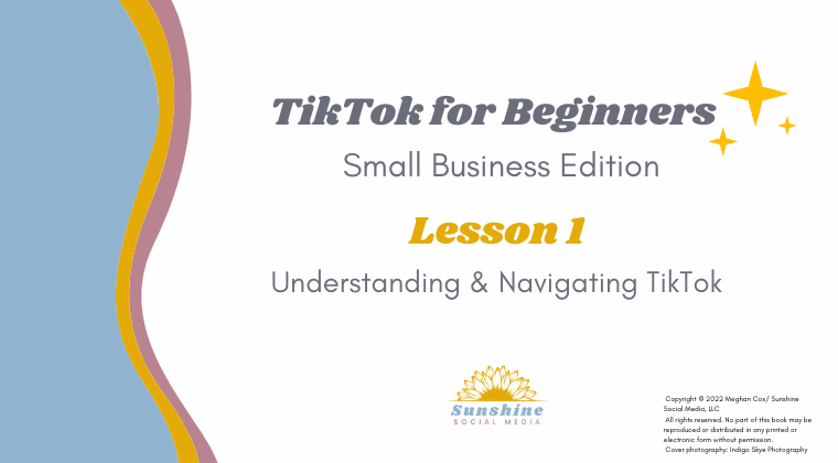 TikTok for Beginners Understanding & Navigating TikTok course for beauty and wellness professionals. 